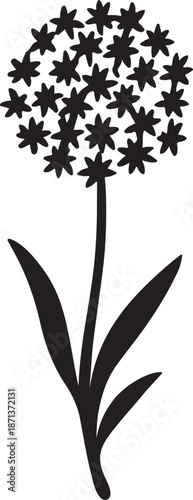 Botanical allium flower vector illustration for garden and nature designs