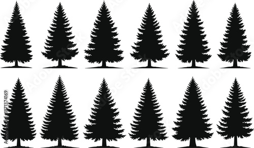 Set of twelve identical black pine tree silhouettes in two rows for forest, nature, winter, and decorative vector design themes