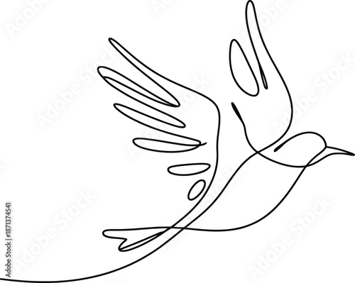 A Hand Releasing a Bird in Flight release freedom