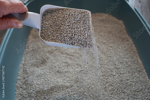 Pouring Fresh Cat Litter into Litter Box