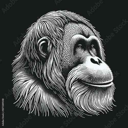 Detailed Orangutan Portrait: A Study in Black and White.