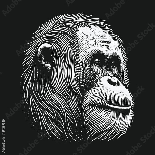 Detailed Orangutan Portrait in Black and White Line Art.
