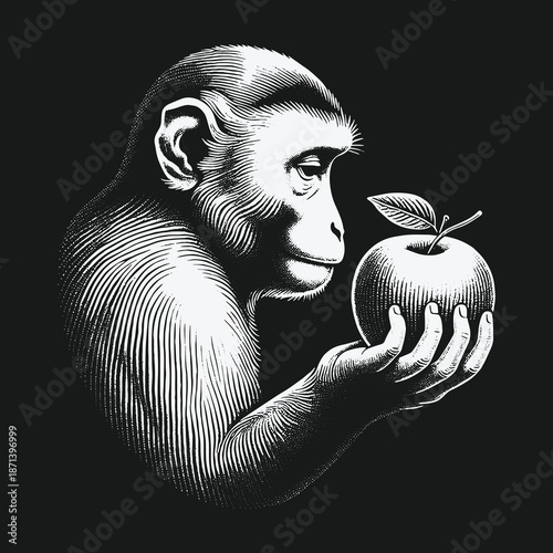Engraved Monkey with Apple: A Study in Curiosity and Temptation.