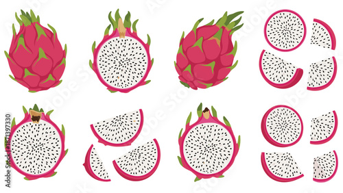 Assorted dragon fruit slices and whole pitaya fruit illustrations with pink skin and white flesh containing black seeds on a clean white surface.