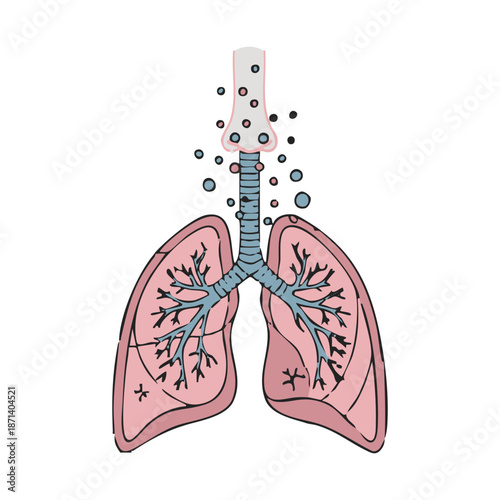 Respiratory system damage from inhaling fine particulate matter and air pollutants