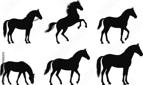 Black horse silhouette set with different poses including rearing grazing and walking isolated on white background for equestrian design elements,