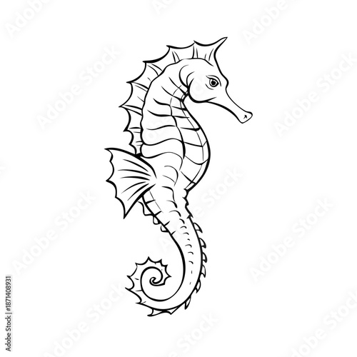 Detailed seahorse sketch, intricate body contours, delicate fins. Marine creature illustration presents stylized seahorse sketch with curly tail, textured scales. Highly detailed engraving drawing.