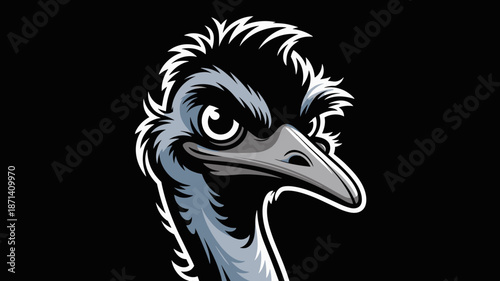Detailed emu head vector illustration staring intensely in a black background wild animal wildlife fauna themed design element for graphic design projects mascot logo branding advertising and marketin