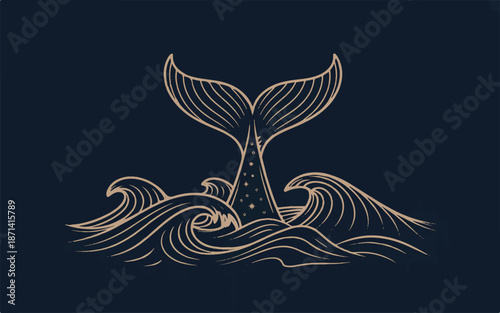 whale tail in the ocean waves with stars
