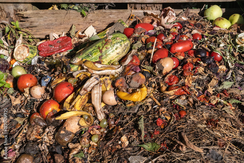 Kitchen scraps composting in garden compost heap, close up