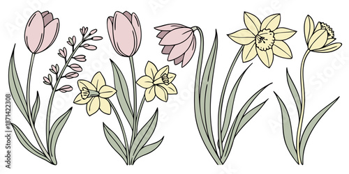 Collection of hand drawn pastel colored spring blooming flowers including tulips daffodils and slender floral sprigs illustrating garden beauty