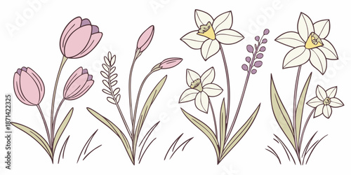 Beautiful soft illustration featuring a collection of delicate spring flowers including tulips and daffodils with subtle pastel coloring and thin outline details.