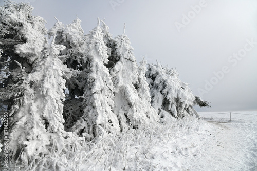 Weiße Winterlandschaft