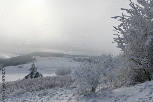Weiße Winterlandschaft