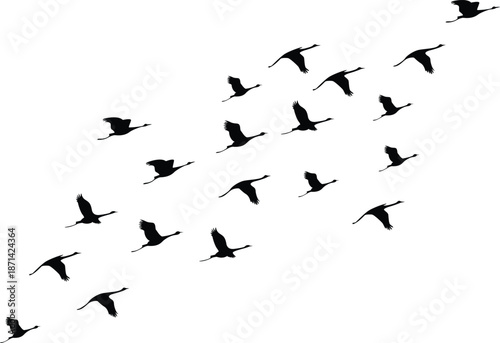Black Silhouette Flock of Birds Flying in Diagonal Formation Vector Isolated
