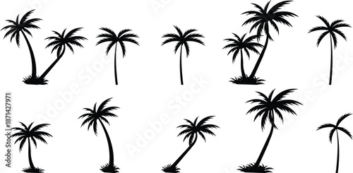 Tropical palm tree and leaf silhouette set. Black palm tree collection. Design of palm trees for posters, banners and promotional and decoration items group. Vector