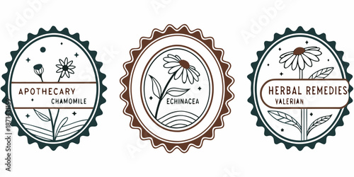 Collection of three circular retro botanical stamps featuring line art illustrations of chamomile echinacea and valerian herbs for natural remedies branding.