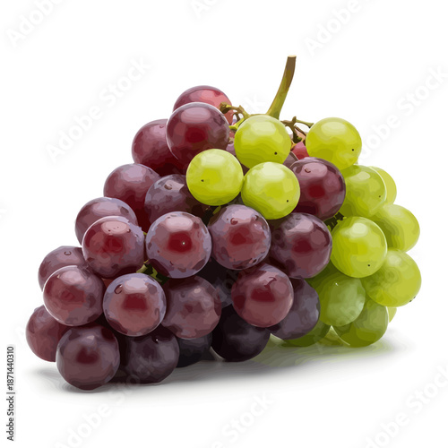 Fresh grapes with green and purple clusters on white background