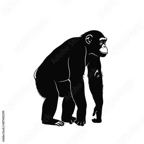 A black gorilla stands on all fours in a simple illustration viewed from the side.