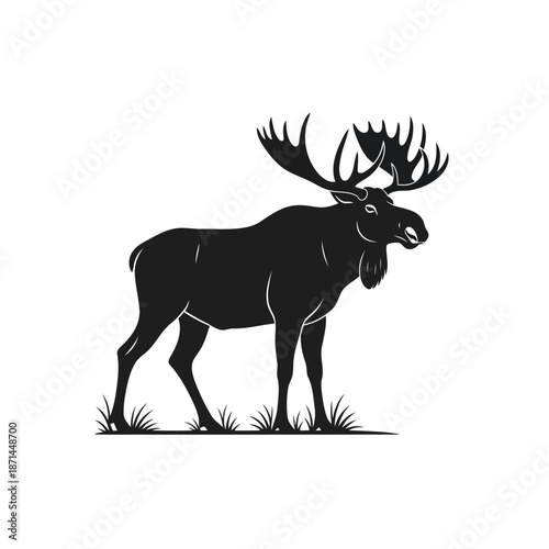 Majestic moose standing proudly in a serene landscape with antlers