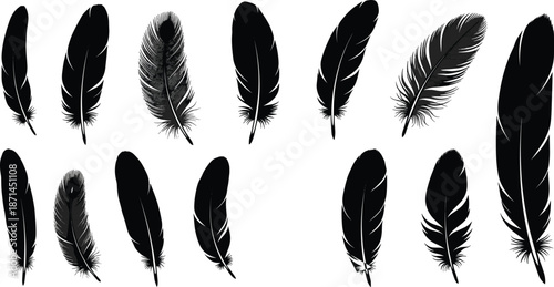 Feather silhouette illustration set with twelve black feathers in varied shapes, textures, and styles