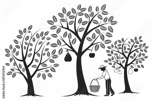 Person picking apples from trees isolated on white background