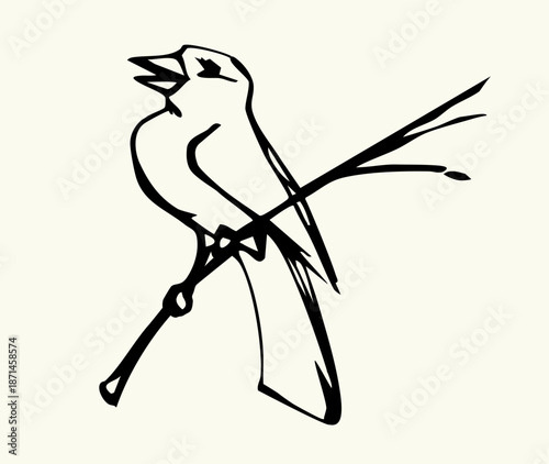 Vector drawing. Tit on white sky backdrop.