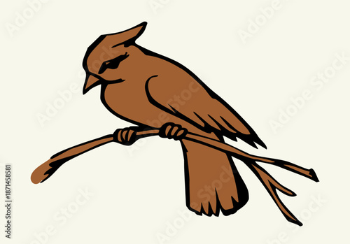 Vector drawing. Bird on white sky backdrop.