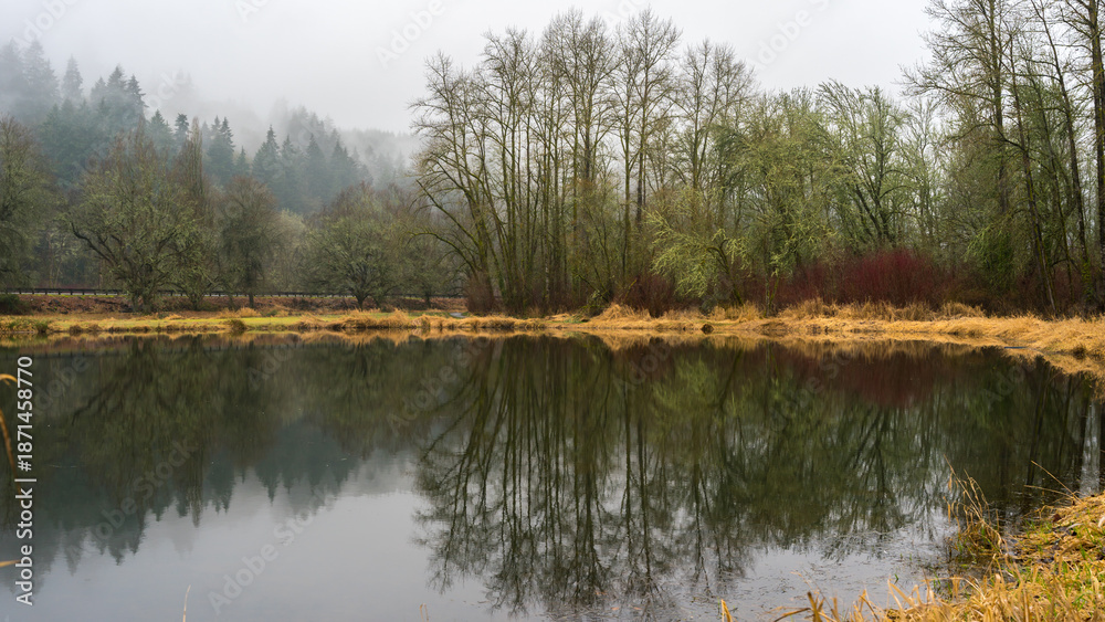 Obraz premium Rainy Day at Trojan Lake State Park at Trojan Nuclear Facility, near Rainier, Oregon 