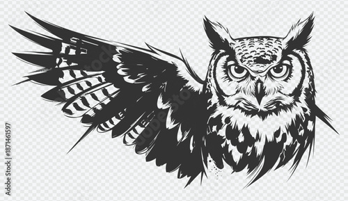 Majestic owl illustration with spread wings on transparent background
