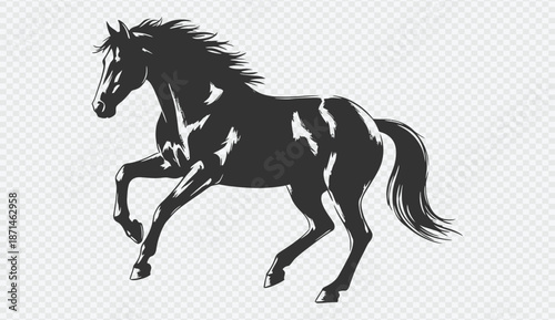 Majestic black horse silhouette running freely in the open field