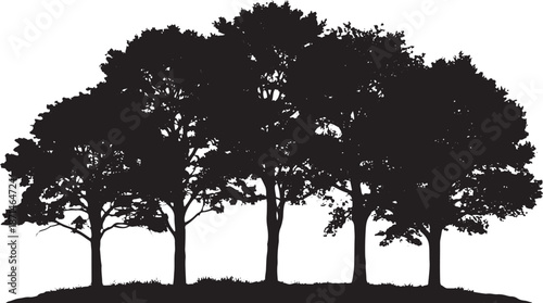 Silhouette of five trees on a plain