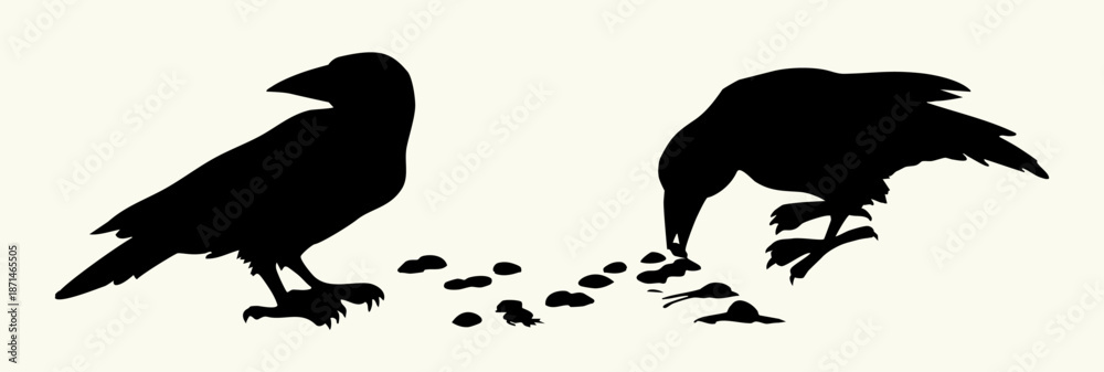 Fototapeta premium Vector drawing. Old big crow