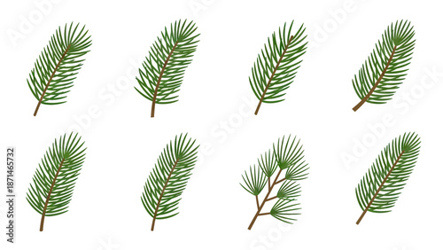 Green Pine Needles Branches Collection Vector Set