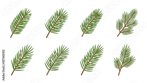 Collection of Green Pine Branches with Brown Stems