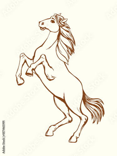 Vector drawing. Man on the horse