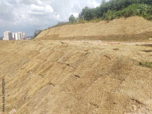 Grass replantation, repair, Sao Paulo, Brazil