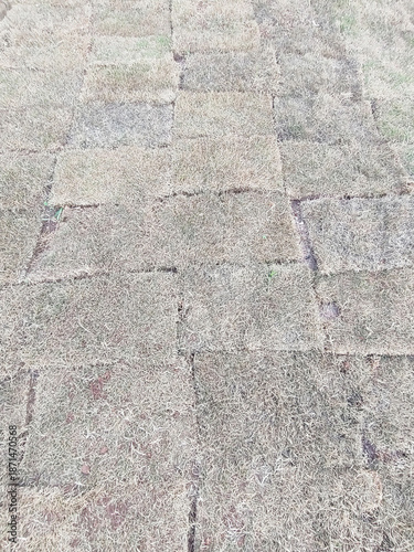 Grass replantation, repair, Sao Paulo, Brazil