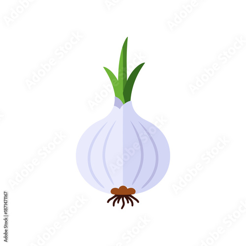 Freshly harvested onion with green shoots against a plain white background, ideal for culinary use
