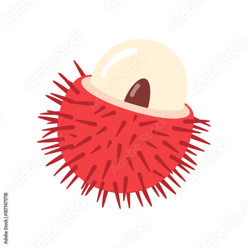 Vibrant illustration of a rambutan fruit showcasing its unique spiky exterior and white flesh