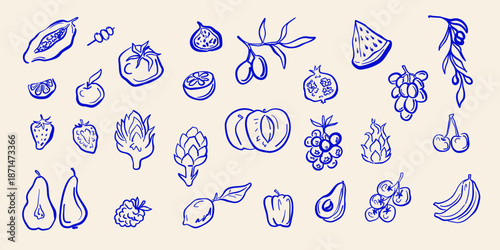 Hand drawn fruits and berries set with pear, grape, cherry, fig, peach, watermelon, avocado, and other fruits in blue outline style. Vector illustration.