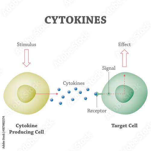 Cytokines: Essential Proteins for Intercellular Communication