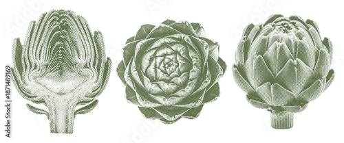 three artichokes in retro halftone style, vintage photocopy illustration set
