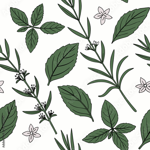 Seamless Botanical Herb Pattern Vector with Basil and Rosemary Leaves Natural Plant Illustration for Fabric Wallpaper Packaging and Branding Design