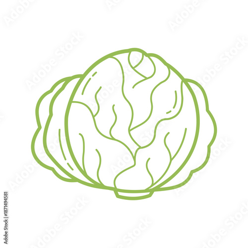 Hand Drawn Cabbage Outline Icon for Healthy Food and Cooking Design