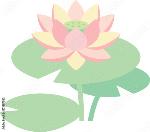Beautiful pink lotus flower blooming with green leaves water lily for spa wellness yoga and meditation studio logo symbol or nature botany decoration design element isolated object icon