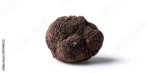 Fresh black truffle on white background