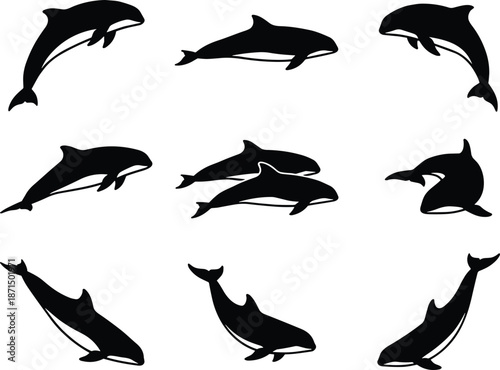 Collection of dolphin and killer whale silhouettes featuring jumping swimming and diving poses for marine life aquatic ocean and nature theme designs.