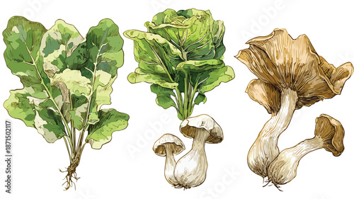 Fresh and Colorful Vegetable Clipart Illustration for Creative Designs
