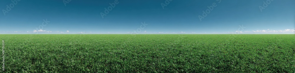 Naklejka premium Vast green grass field under clear blue sky